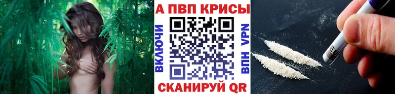 где купить   Навашино  Альфа ПВП VHQ 