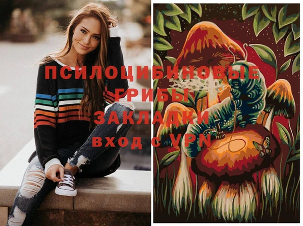спиды Армянск