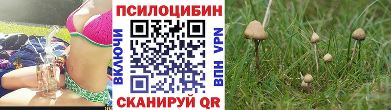 Псилоцибиновые грибы мухоморы  как найти закладки  Навашино 